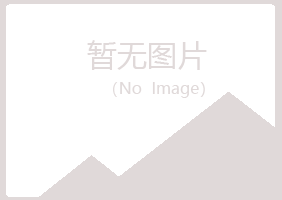 莱山区友易能源有限公司